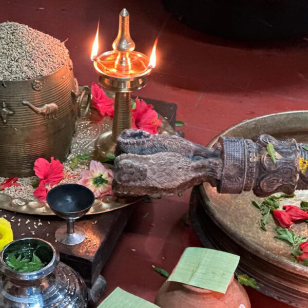 AyurDetox-what-it-is2 AyurDetox-what-it-is2